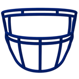 Light LS2 P1 Youth Carbon Steel Facemask Light