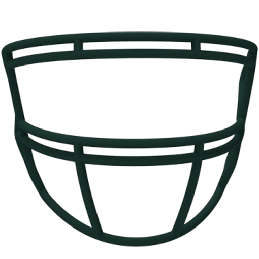 Light LS2 SK1 Youth Carbon Steel Facemask Light